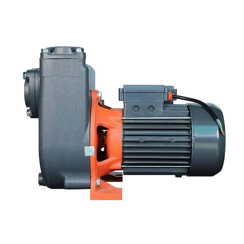 پمپ سانتریفیوژ خودمکش لئو 1.5 اسب مدل XHSm 1500
